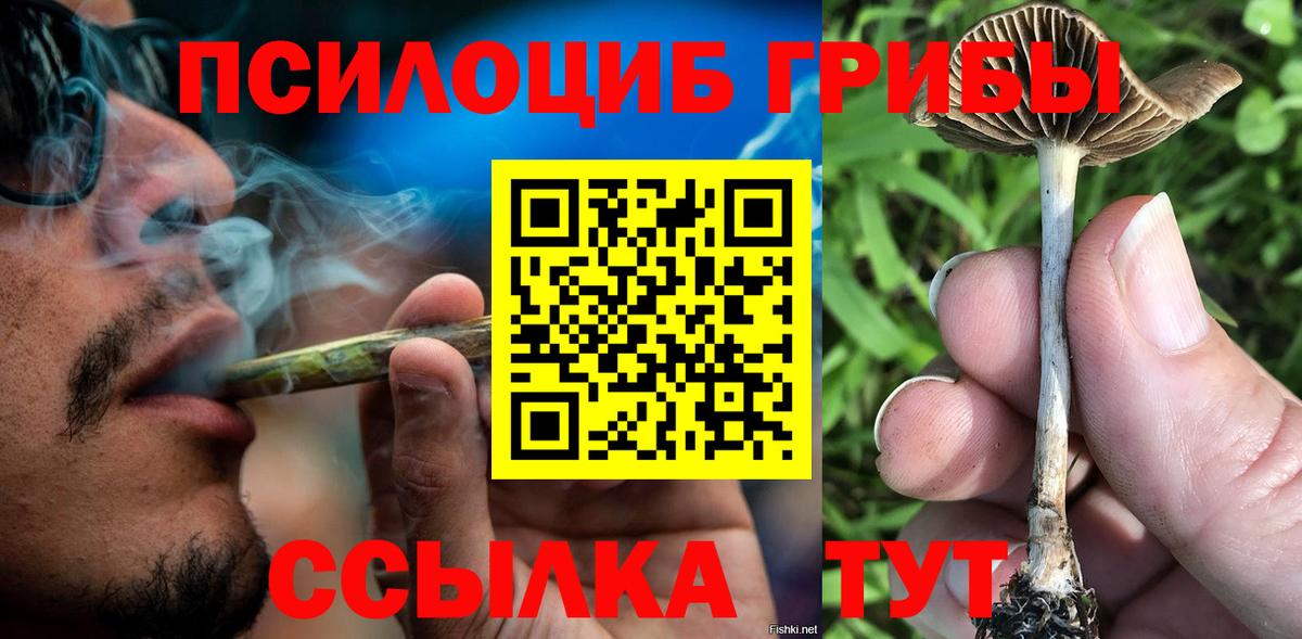 Псилоцибиновые грибы мухоморы Аргун