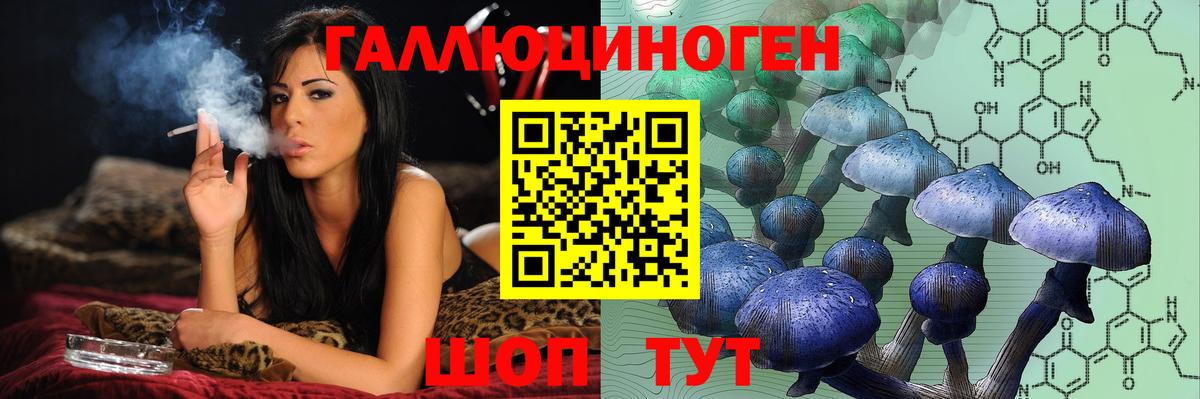 Аргун  Псилоцибиновые грибы прущие грибы  Вход с VPN 